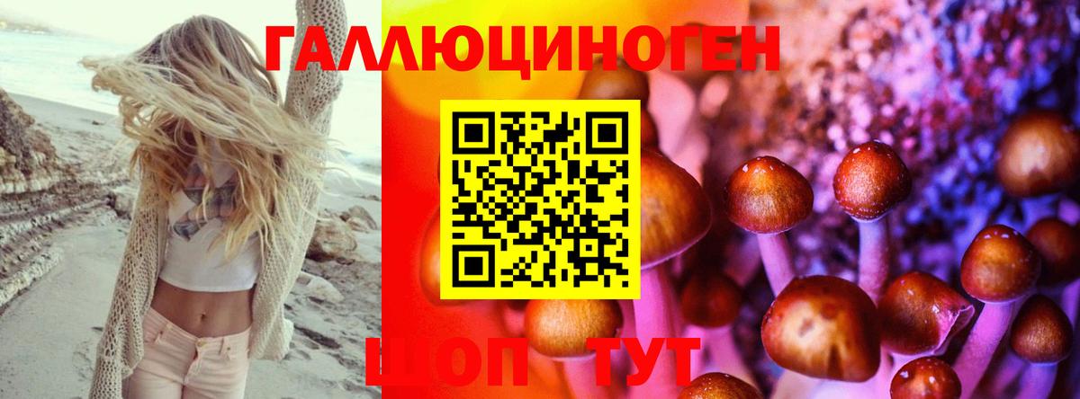 Нижнеудинск  Псилоцибиновые грибы GOLDEN TEACHER  Вход с VPN 